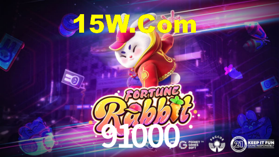 Premium Interface 91000