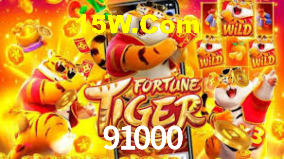 91000 App Interface